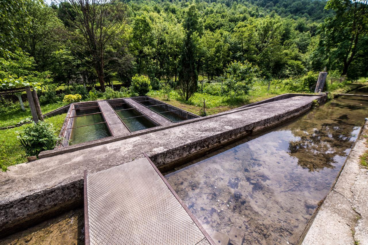 הוילה Bihać Eko House Dobrenica מראה חיצוני תמונה