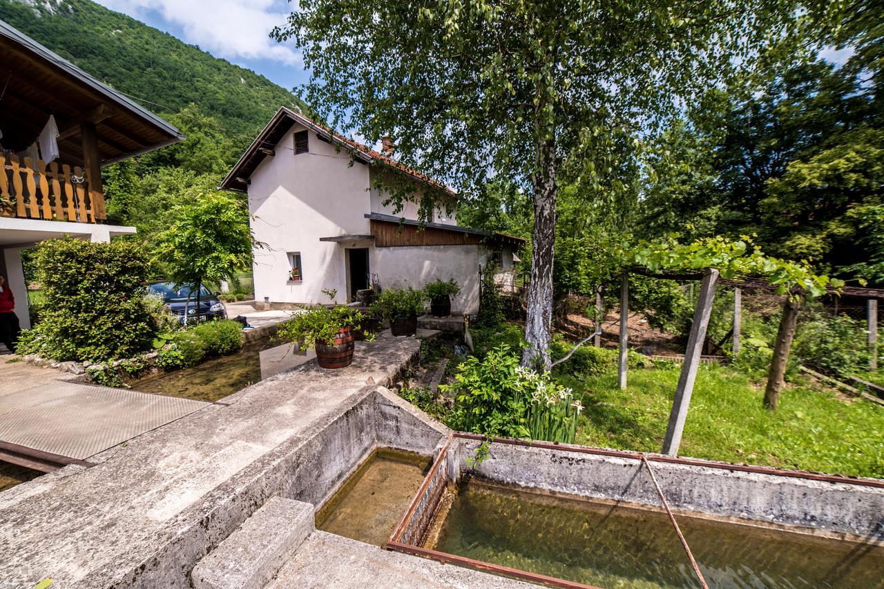 הוילה Bihać Eko House Dobrenica מראה חיצוני תמונה